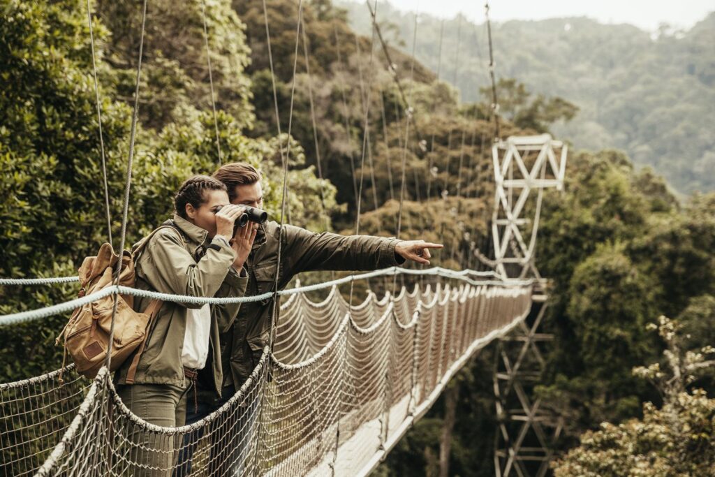 4-Day Nyungwe Chimpanzees, Canopy Walk & Colobus Monkey Safari