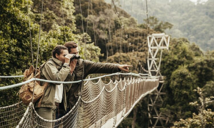 4-Day Nyungwe Chimpanzees, Canopy Walk & Colobus Monkey Safari